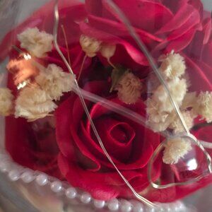 Eternal Rose Bouquet in Glass Dome with LED Lights – Red– 8"